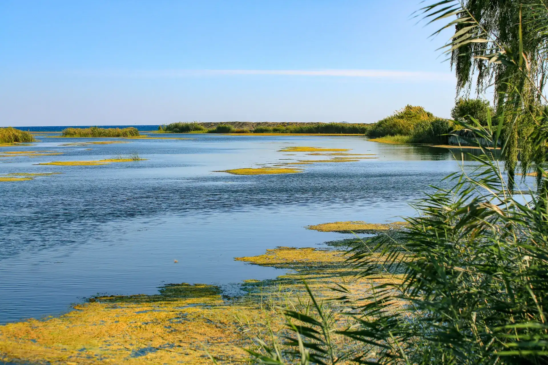 Excursie cu barca: Sfântu Gheorghe, vărsarea în mare